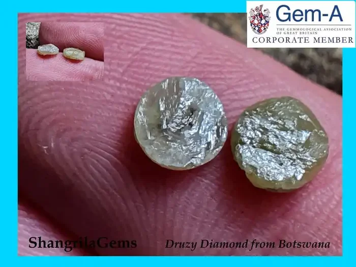 5.4mm 1.25ct Ivory white Druzy Raw Diamond Pair 5.4 by 2.2mm