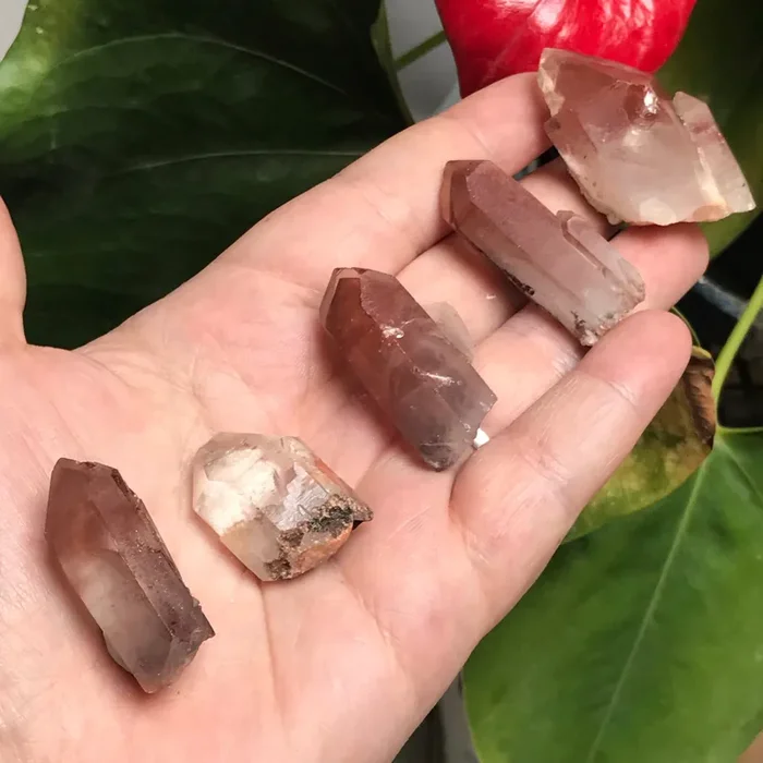 5 Ishuko Red Phantom Quartz, Hematite included Quartz from the Central Province of Zambia