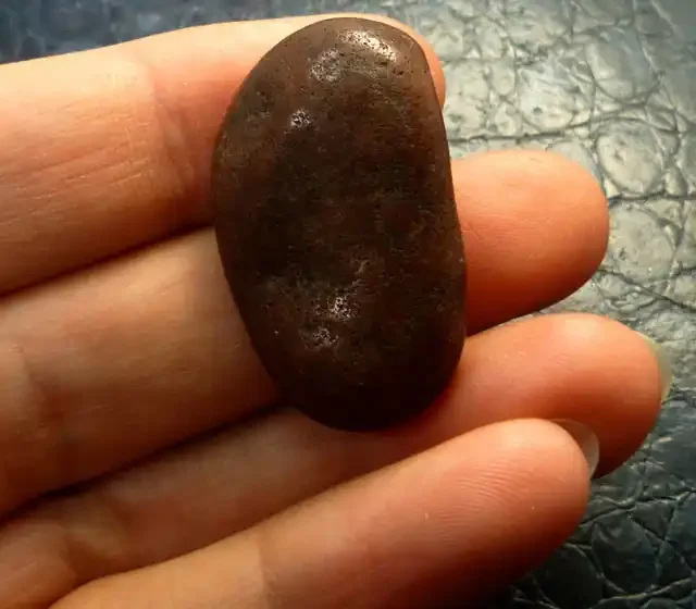 50 CTS GASTROLITHS DINOSAURS GIZZARD STONE MS 288