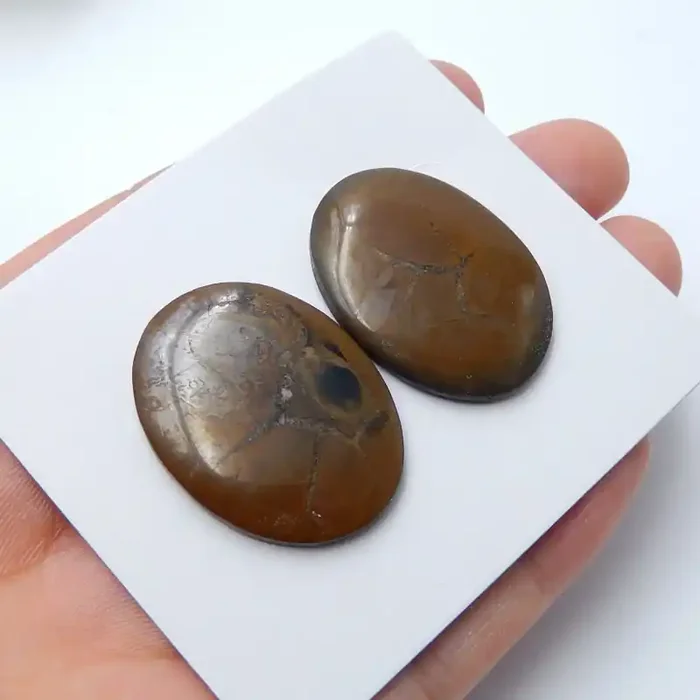 50cts New arrival turtle agate gemstone cabochon pairs (A584)