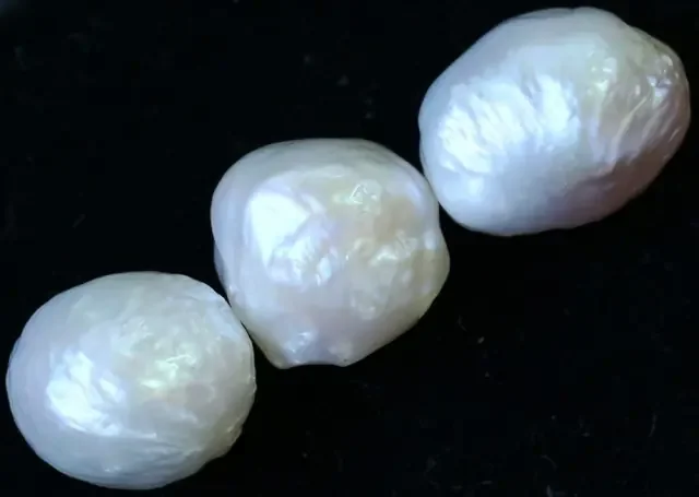 52.00 cts Three Ivory/Apricot Pearls PPP 686