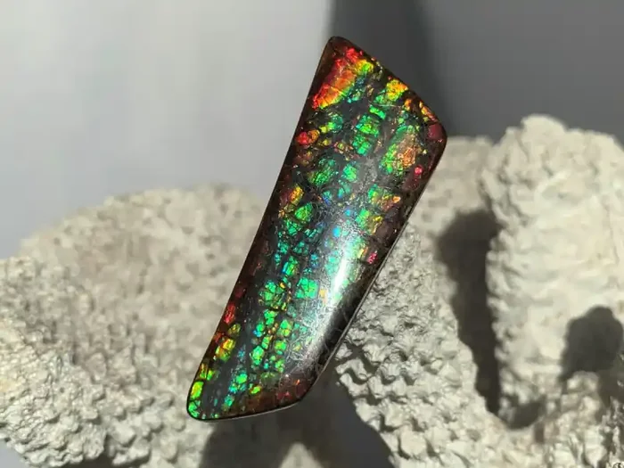 52mm ‘BIG‘ TOP RAINBOW DRAGONSKIN Natural Ammolite Gem REDUCED