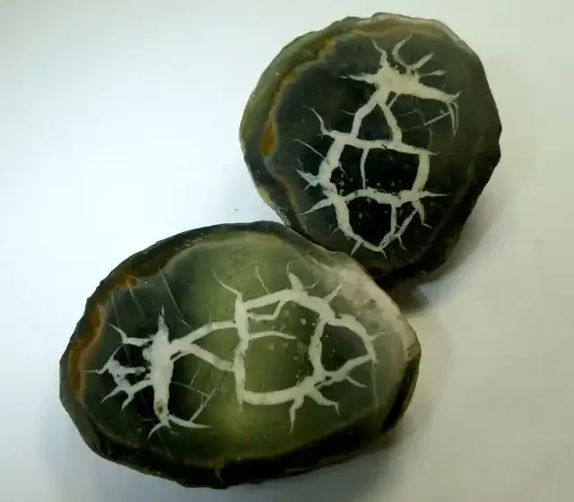 532 CTS PAIR SPLIT POLISHED SERPATIAN NODULES MS 211