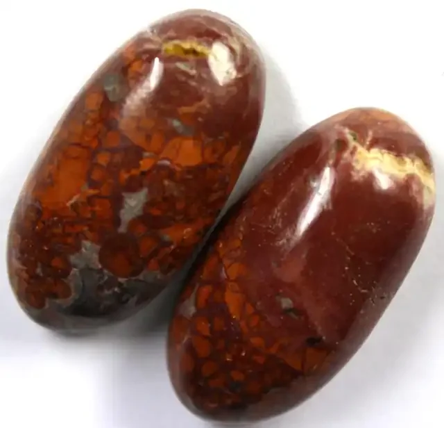 57.60 CTS FOSSIL CABOCHON POLISHED PAIR