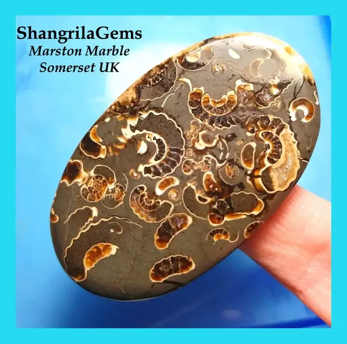 58mm 138ct MARSTON MARBLE cabochon 58 by 35 by 6mm
