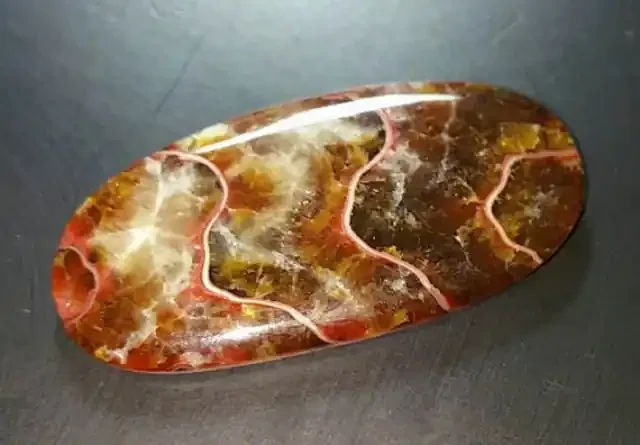 58mm 89ct Ammonite designer cut cabochon from Madagascar 89.45ct 58 by 26 b