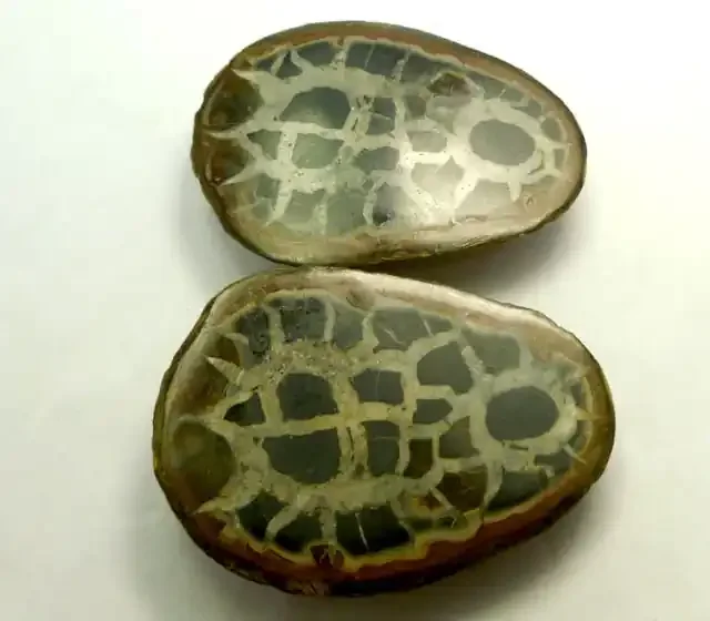 595 CTS PAIR SPLIT POLISHED SERPATIAN NODULES MS 205