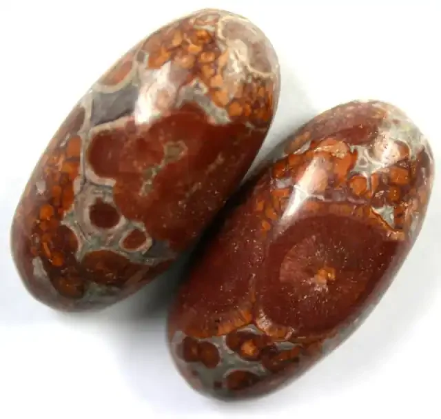 60.0 CTS FOSSIL CABOCHON POLISHED PAIR