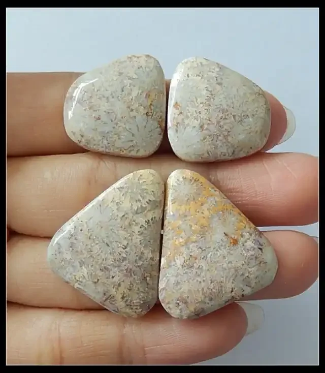 60.55ct 2 Pairs of Natural Coral Gemstone Cabochons