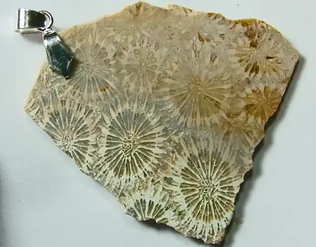 65.15 CTS FOSSIL CORAL PENDANT SG-509