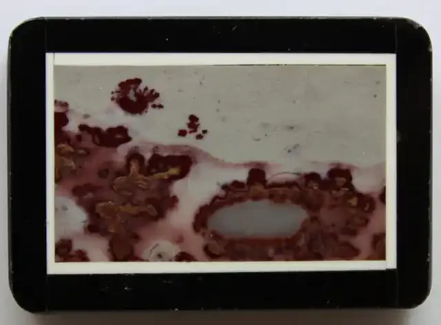 65.95 CTS INTARSIA MADE FROM NATURAL JASPER