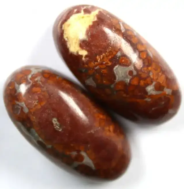 66.15 CTS FOSSIL CABOCHON POLISHED PAIR