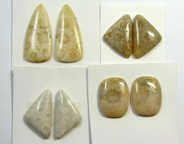 66 CTS PAIRS NATURAL CORAL FOSSIL STONES MS1047
