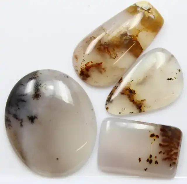 67.90 CTS – 4 PCS DENDRITIC AGATE PARCEL POLISHED STONES