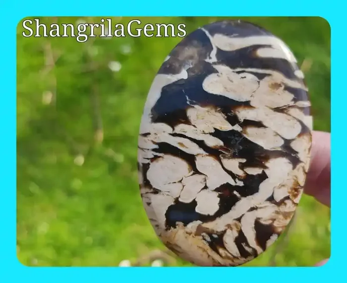 67mm Peanut wood Jasper oval petrified wood cabochon 131ct