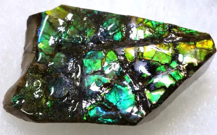 69.45 CTS AMMOLITE SHELL FOSSIL SPECIMEN RG-5542