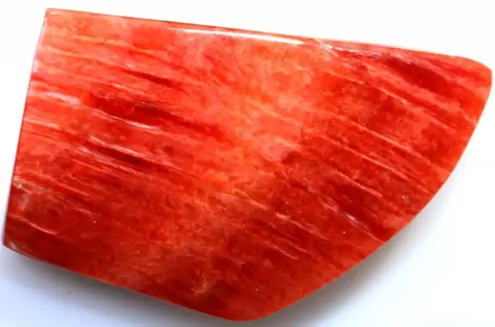 69.70 CTS SPINY OYSTER SHELL TBG-3068