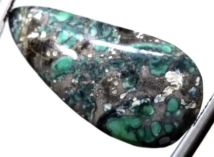 7 CTS BLUEBOY VARISCITE CLAM PSEUDOMORPH TBG-3448