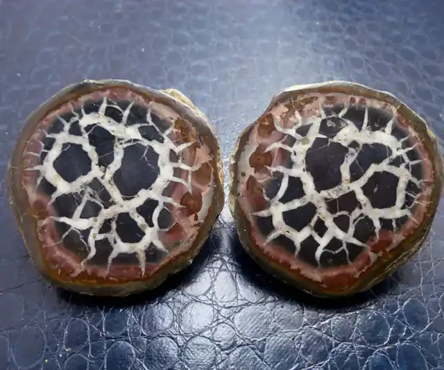 700 CTS PAIR SPLIT POLISHED SERPATIAN NODULES MS 723