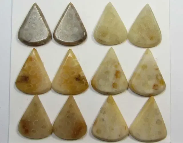 74 CTS PAIRS NATURAL CORAL FOSSIL STONES MS1064