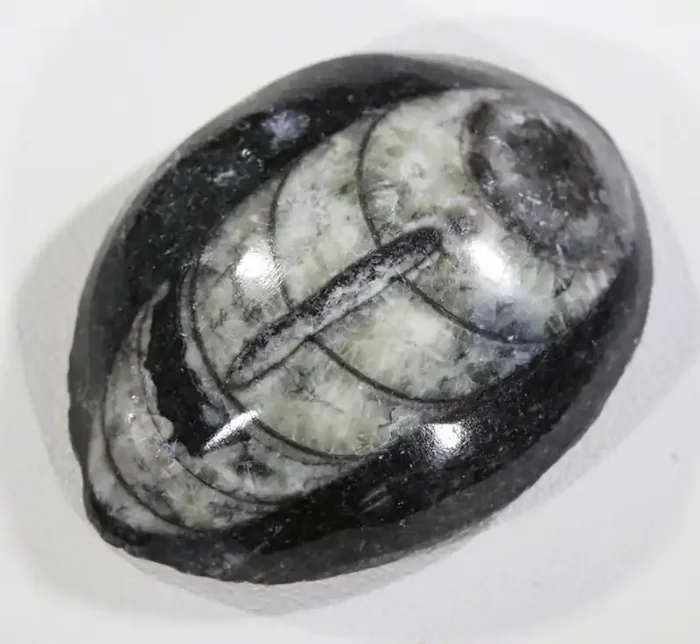 76.45Cts nice speciemn Orthecras SU 156