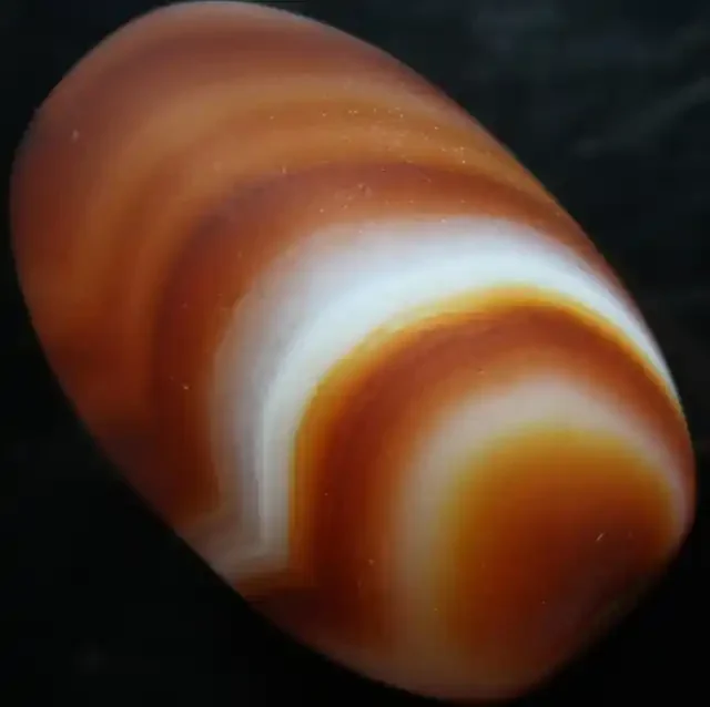 77.60 CTS BANDED AGATE DRILLED LARGE BEAD