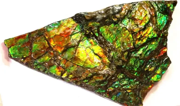 79.80-CTS AMMOLITE SPECIMEN RG-2827