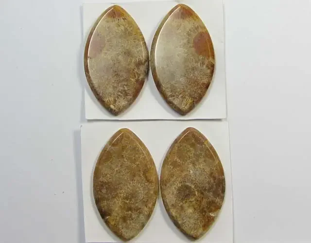 79 CTS PAIRS NATURAL CORAL FOSSIL STONES MS1070