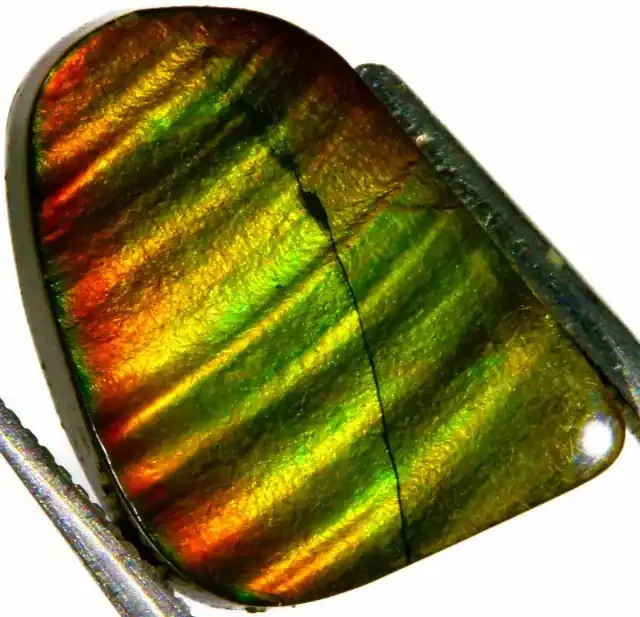 8.20 CTS AMMOLITE STONE FROM CANADA [STS321 ]SH