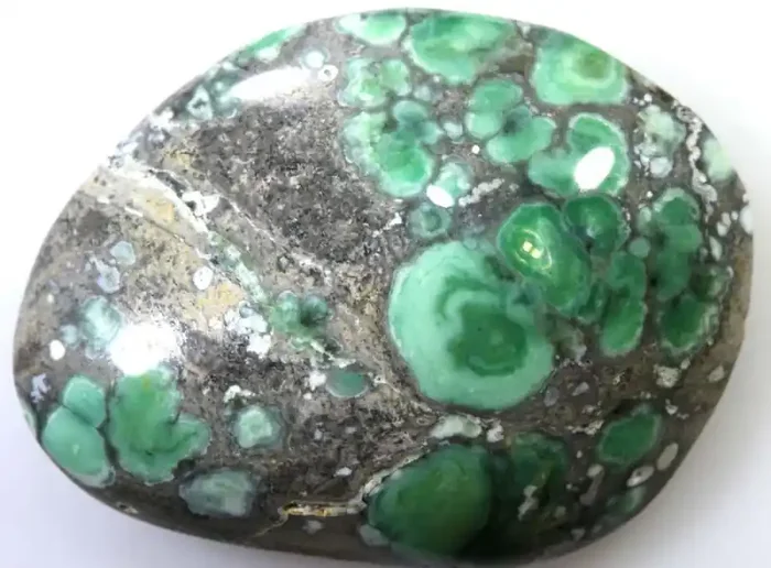 8.30CTS BLUEBOY VARISCITE CLAM PSEUDOMORPH TBG-3150