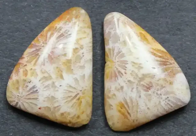 8.95 CTS CORAL PAIR NATURAL STONE PERFECT FOR EARRINGS