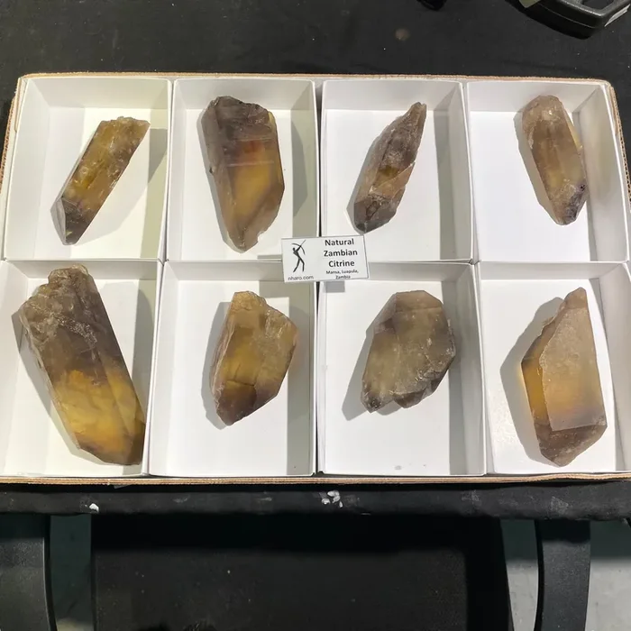 8 Pieces Natural Zambian Citrine, Wholesale Flat