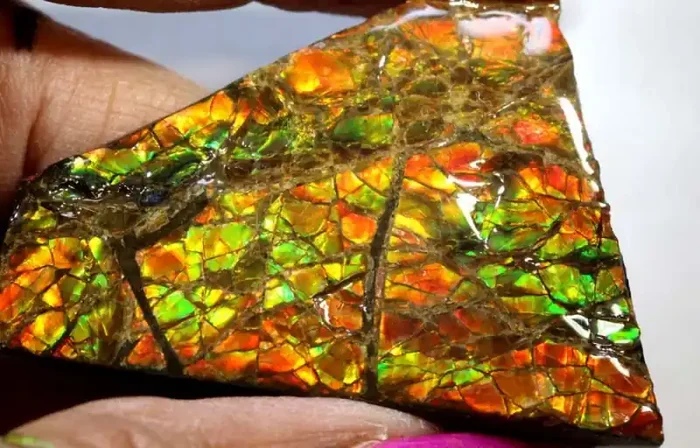 80.80-CTS AMMOLITE SPECIMEN RG-2939