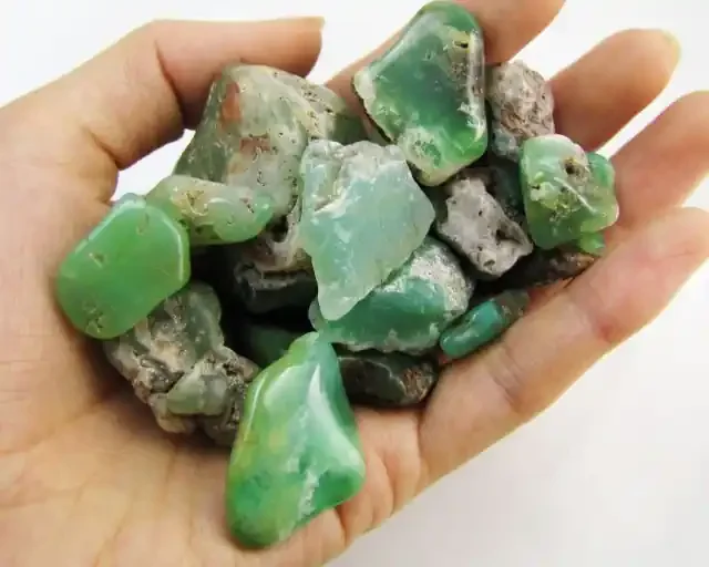 800 Cts tumbled Aussie chrysophrase MYGM 2030