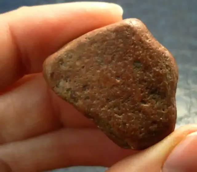 82 CTS GASTROLITHS DINOSAURS GIZZARD STONE MS 278