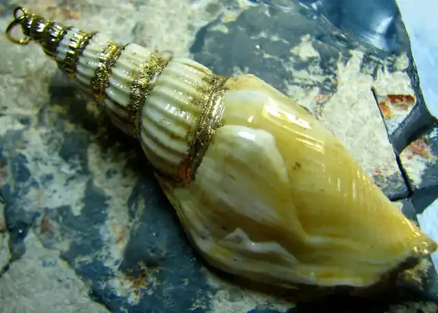 — UNIQUE NATURAL SHELL PENDANT WITH GOLD PAINT —