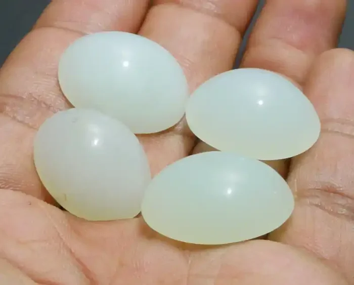 84.85 CRT 4 PCS NATURAL INDONESIAN CHRYSOPRASE PARCEL GOOD QUALITY-i34-