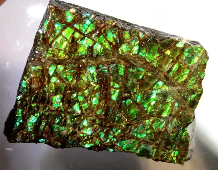 87.80-CTS AMMOLITE SPECIMEN RG-2907
