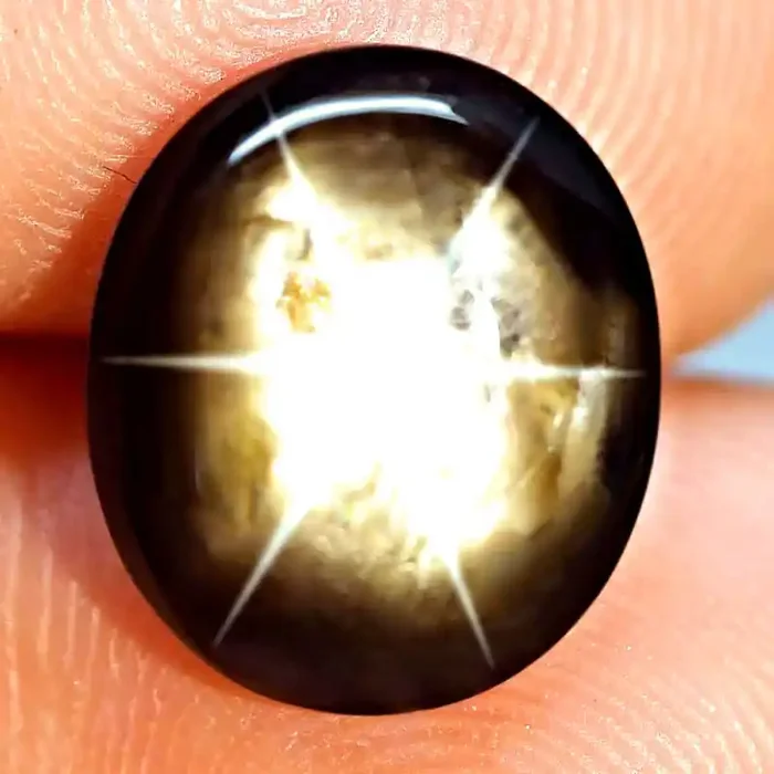 9.01 Thailand Black Star Sapphire – Gorgeous