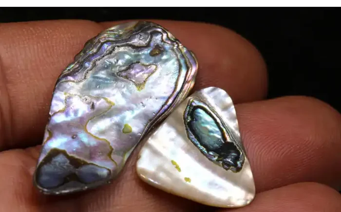 9.50 CTS ABALONE SHELL PARCEL (3PCS) ADG-1180
