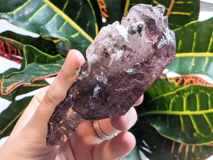 9.6 cm Shangaan Amethyst from Chibuku Mine, Zimbabwe