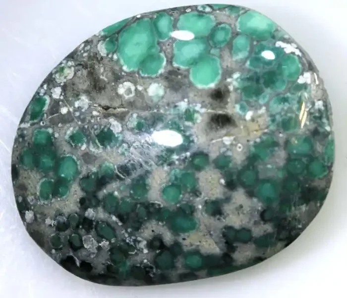 9.80CTS BLUEBOY VARISCITE CLAM PSEUDOMORPH TBG-3138