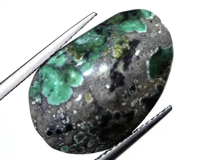 9 CTS BLUEBOY VARISCITE CLAM PSEUDOMORPH TBG-3445