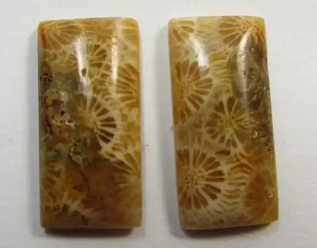 9 CTS ONE PAIR NATURAL CORAL FOSSIL STONES MS1101