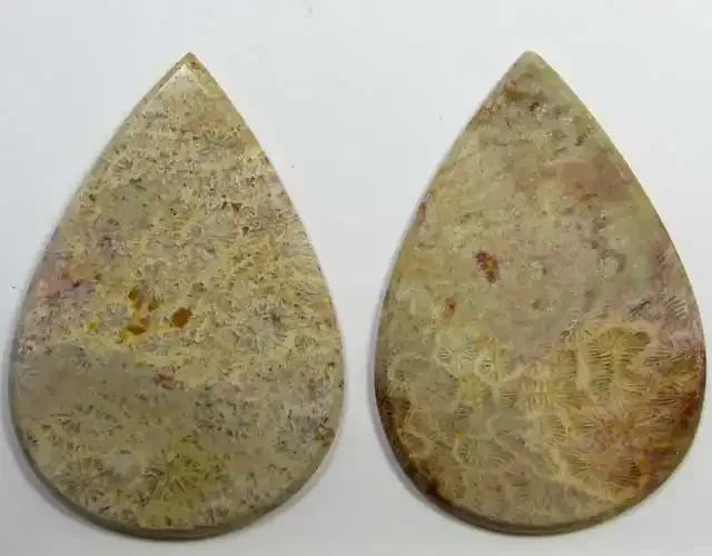 91 CTS PAIRS NATURAL CORAL FOSSIL STONES MS1072