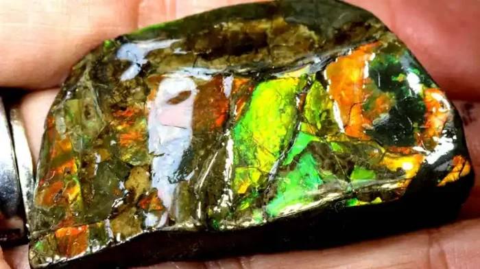 92.30-CTS AMMOLITE SPECIMEN RG-2809