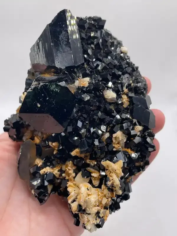 Black Tourmaline Cluster on Feldspar with Smoky Quartz from Erongo Mountain, Erongo Region, Namibia