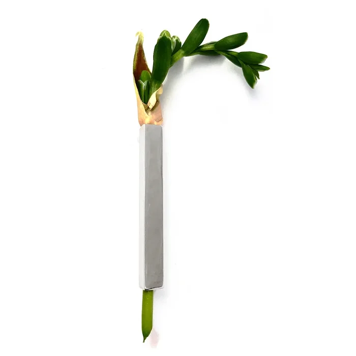 Box Botanical Brooch in Rhodium