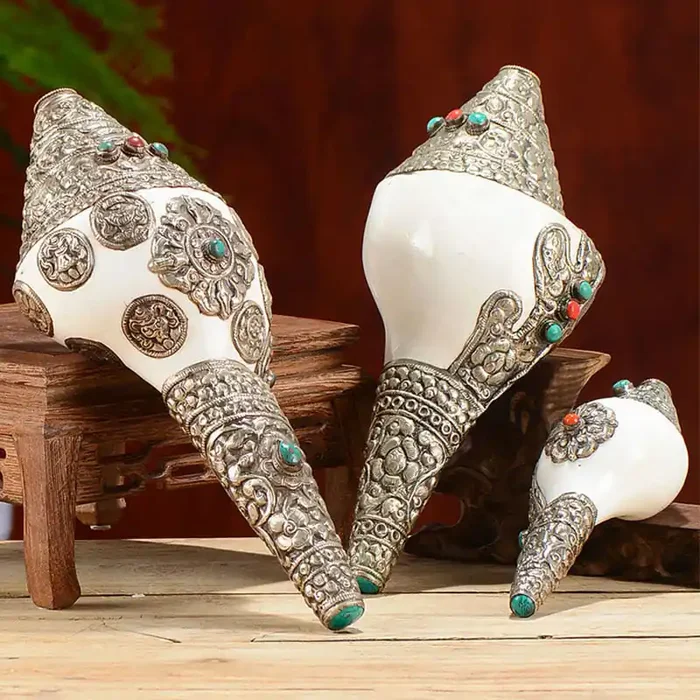 Buddha Stones Tibetan Natural Shankha Conch Shell Seashell Wealth Lucky Home Decoration