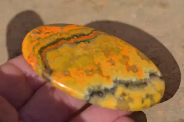 Bumble Bee or Bumblebee Jasper 133ct oval 71mm